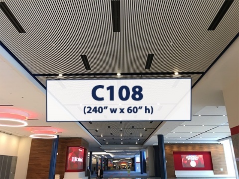 Picture of C108