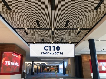 Picture of C110