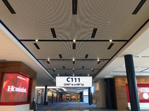 Picture of C111