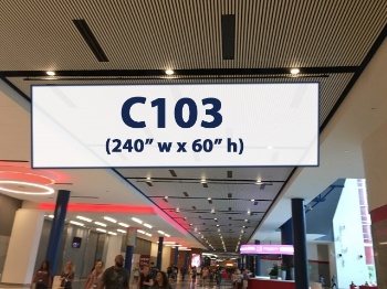 Picture of C103