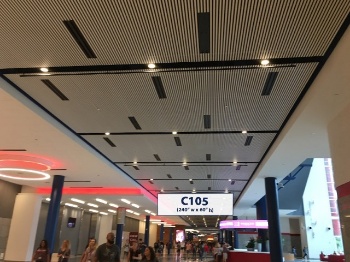 Picture of C105