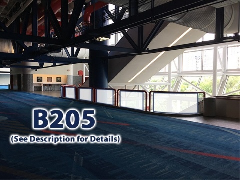 Picture of B205