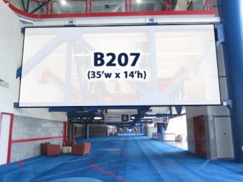 Picture of B207