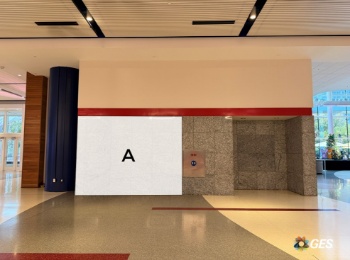 Picture of Cling L1-C-CL11