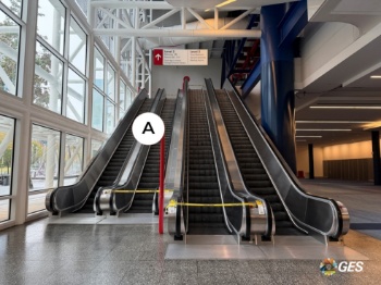 Picture of Cling L1-D-CL04